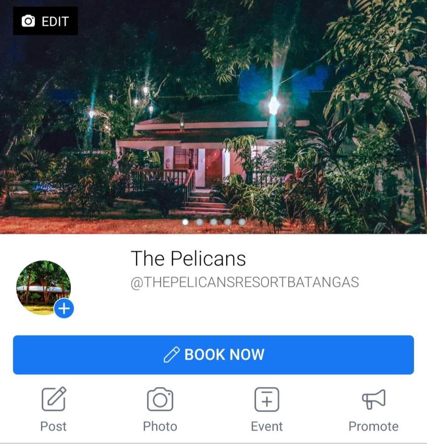 The Pelicans Resort Batangas Exteriér fotografie